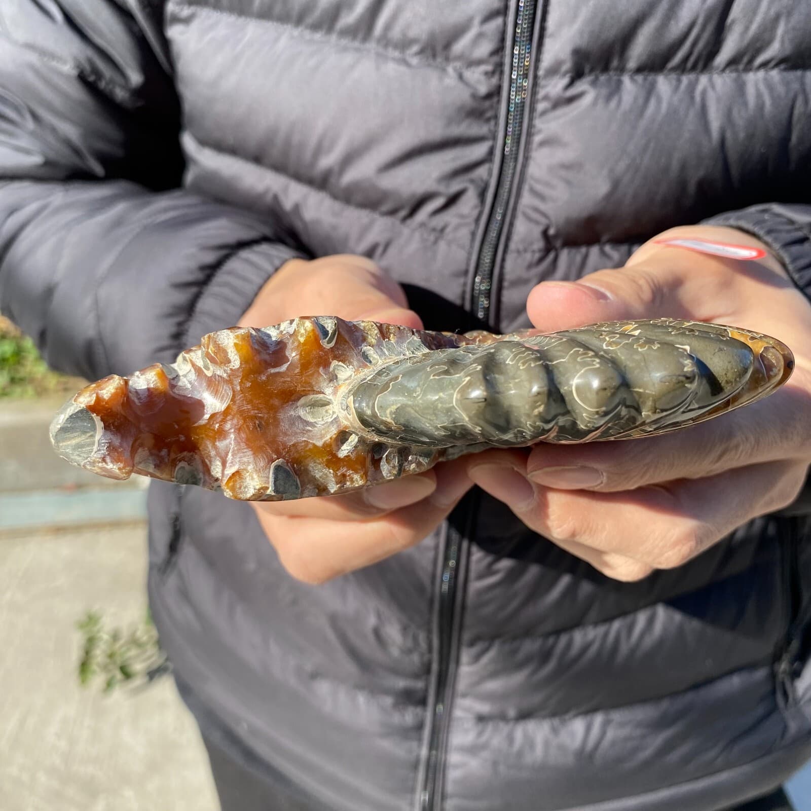 500g Natural Beautiful Ammonite Fossil Conch Crystal Specimen Healing 3