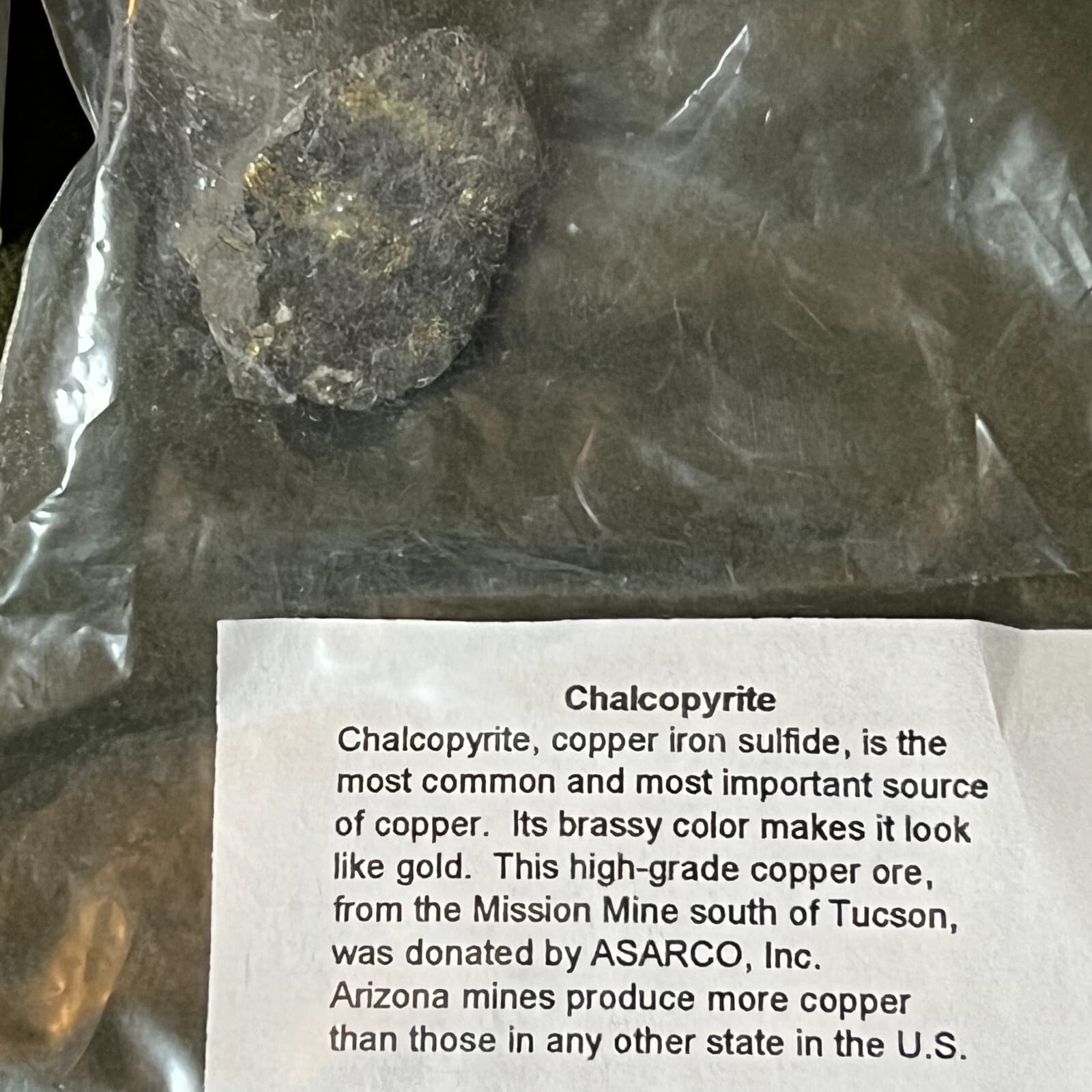 Crinoid Marble Fossil, Chalcopyrite & Crinoids 4