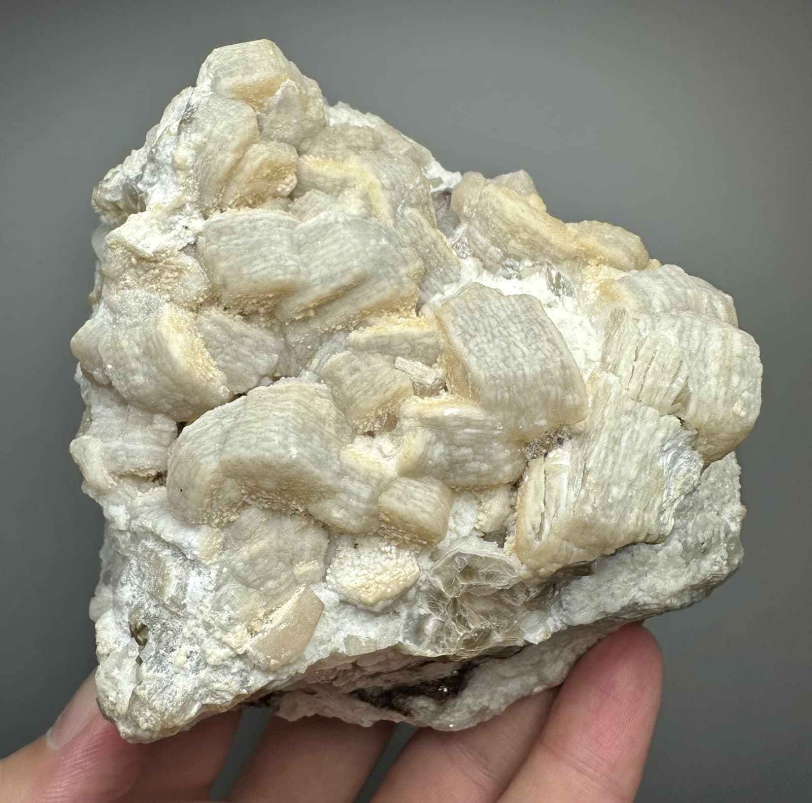 741 Gr. Fluorescent Rare Apatite Crystals Cluster With Mica Cluster On Matrix 4