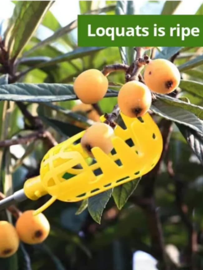 1pc Farm Garden Fruit Picker Head Deep Basket Apple Peach Harvest Tool - NEW 3