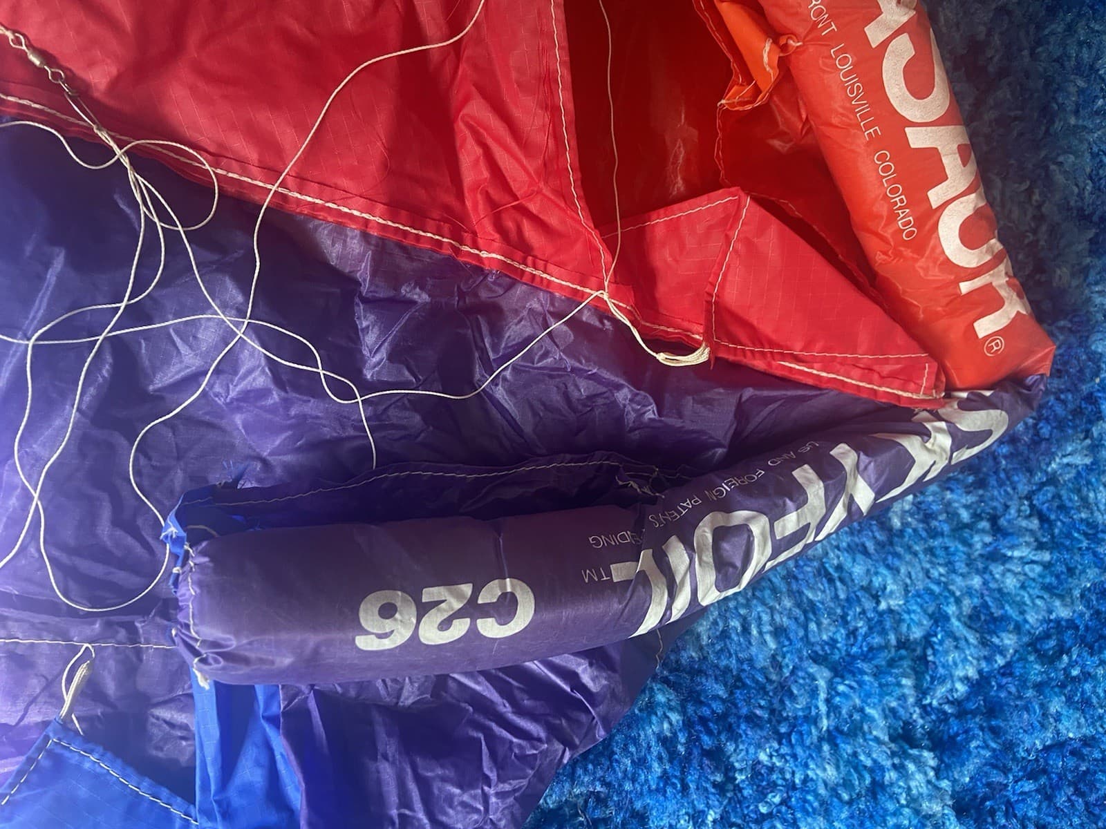 Vintage SKYNASAUR Kite - Bin Yak 5