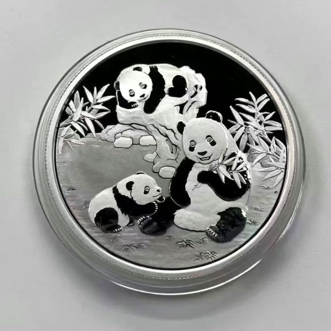 2025 China Panda Silver Plated Coin 30g Commemorative Bullion Collectible 2
