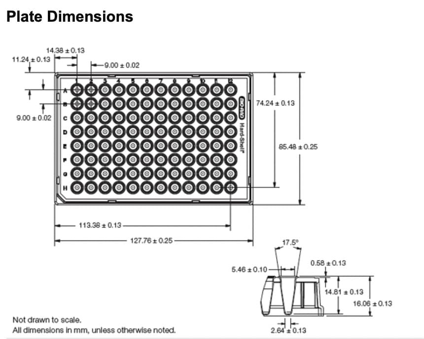 Bio-Rad Hard-Shell 96-Well PCR Plates,low profile,thin wall, HS9655 | Pack of 50 6