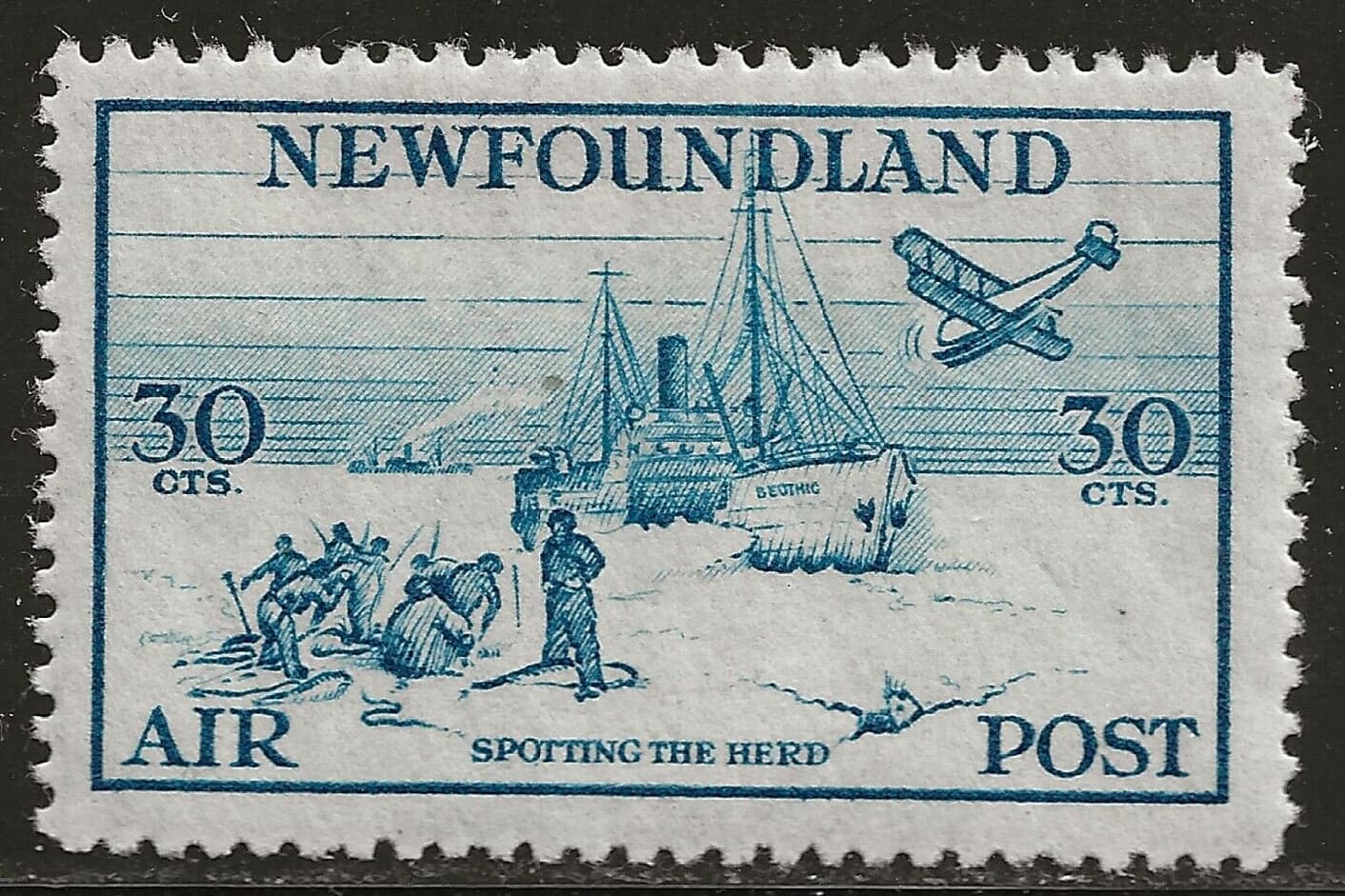 NEWFOUNDLAND C15 MH, VF - 30c Air Mail issue