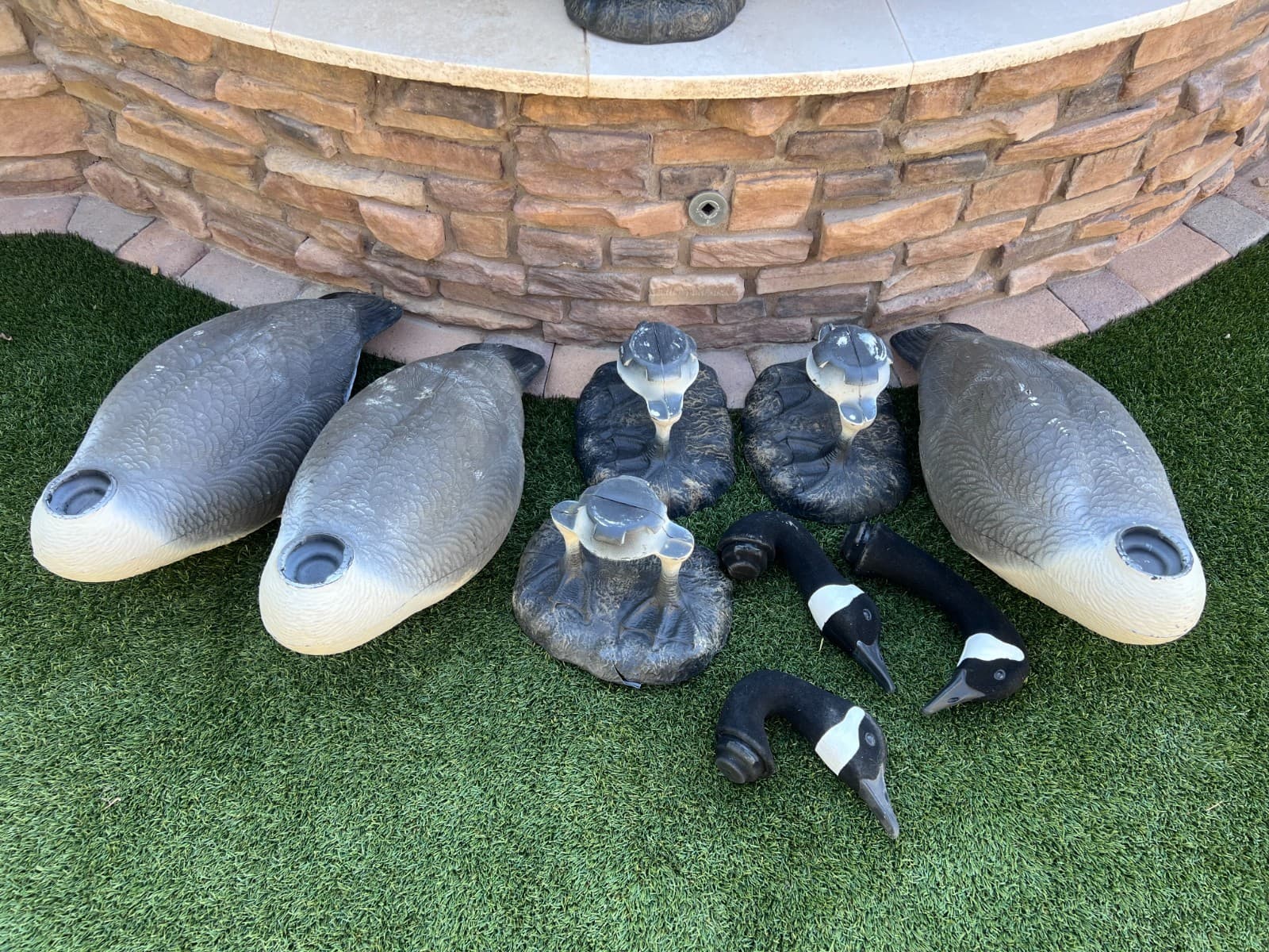 Lot of 4 Judge Full Body Goose Flock Standing Canadian Geese Decoys 4