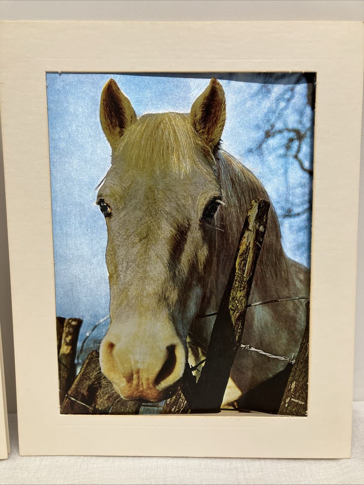 2 Vintage Dufex Foil Prints Horse & Foal 10”x8” Vintage Ponies 3