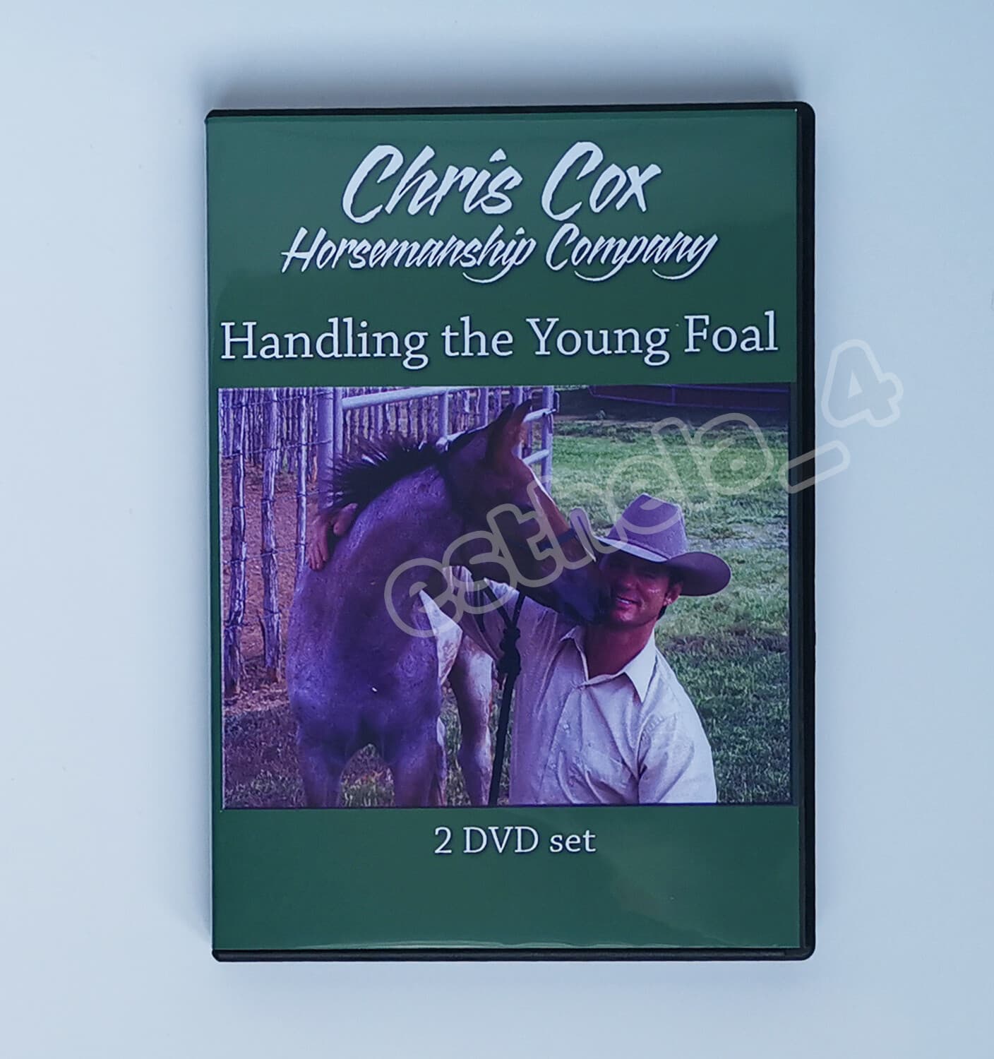 Handling the Young Foal with Chris Cox Horsemanship Training 