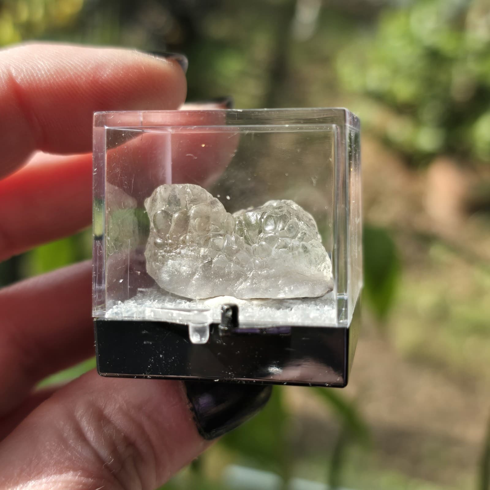 Fluorescent Hyalite Opal Specimen UV Reactive Glass Opal Specimen Perky Box