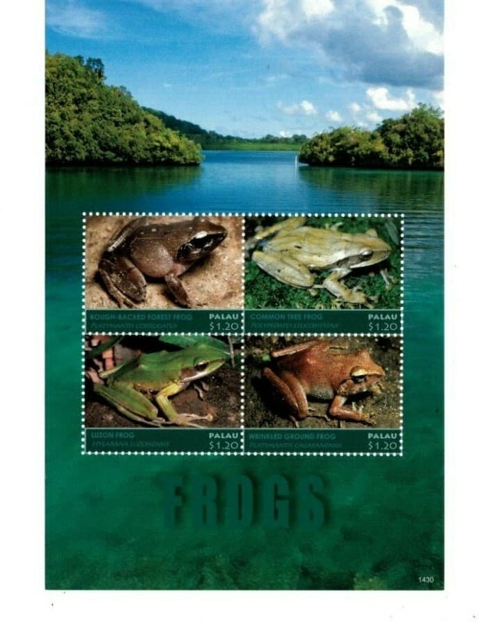Palau - 2014 - Frogs - Sheet of Four -MNH