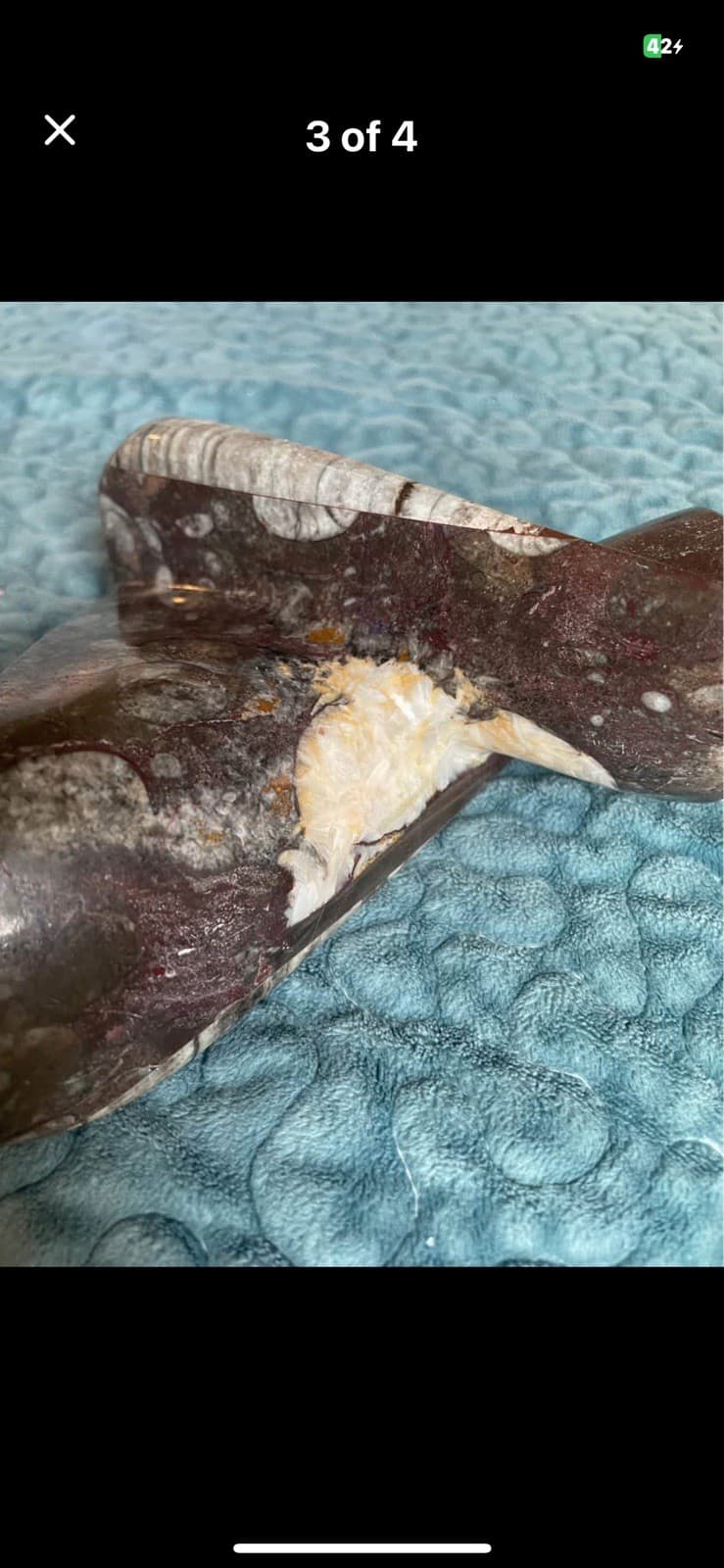 Orthoceras Fossil Candle Holder with Ammonite Fossils 4.5" Tall Hold Tea candle 2