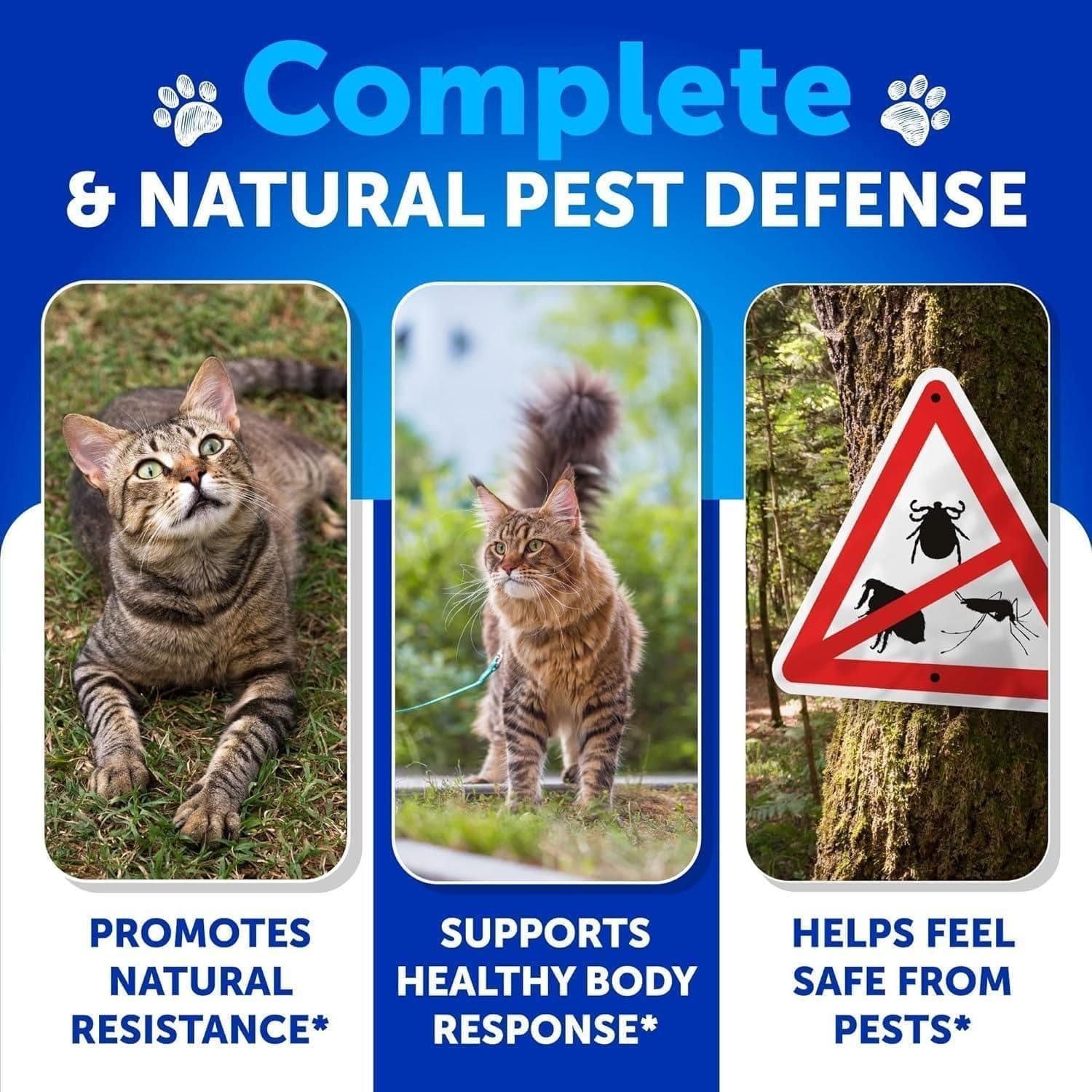 Flea Treatment for Cats Natural Flea and Tick Prevention Supplement for Cats Kit 3