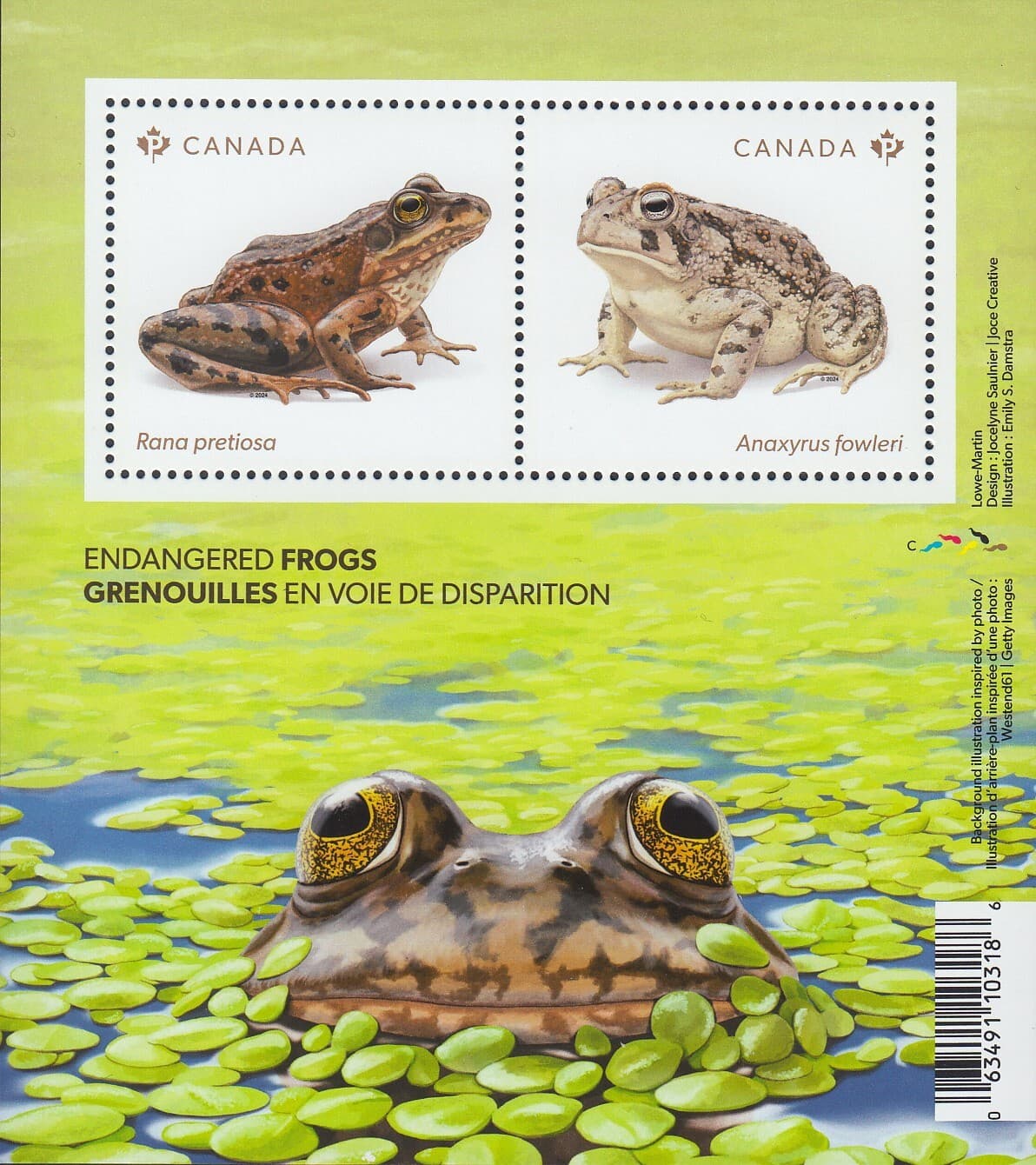 qt.ENDANGERED FROGS = frog, toad = Souvenir Sheet of 2 stamps MNH Canada 2024