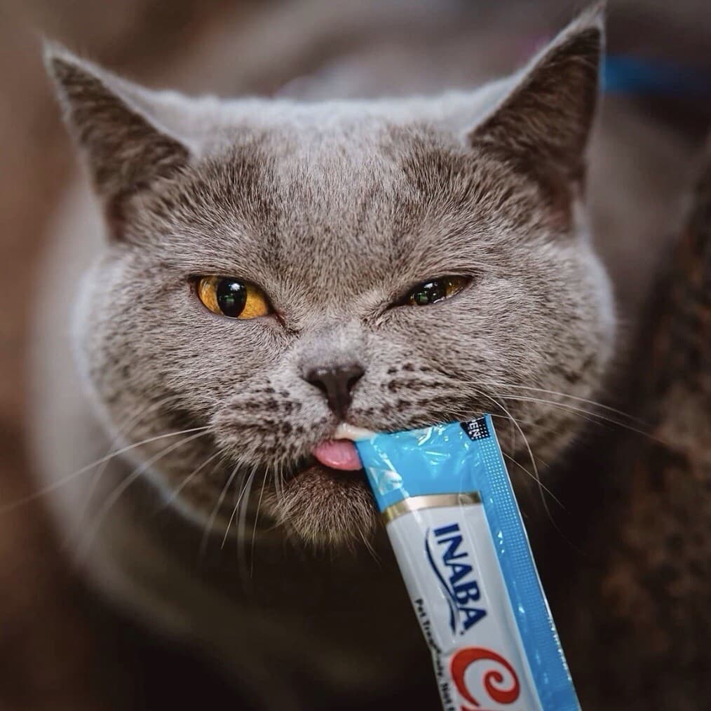 INABA Churu Lickable Purée Natural Cat Treats Chicken with Shrimp Recipe 6