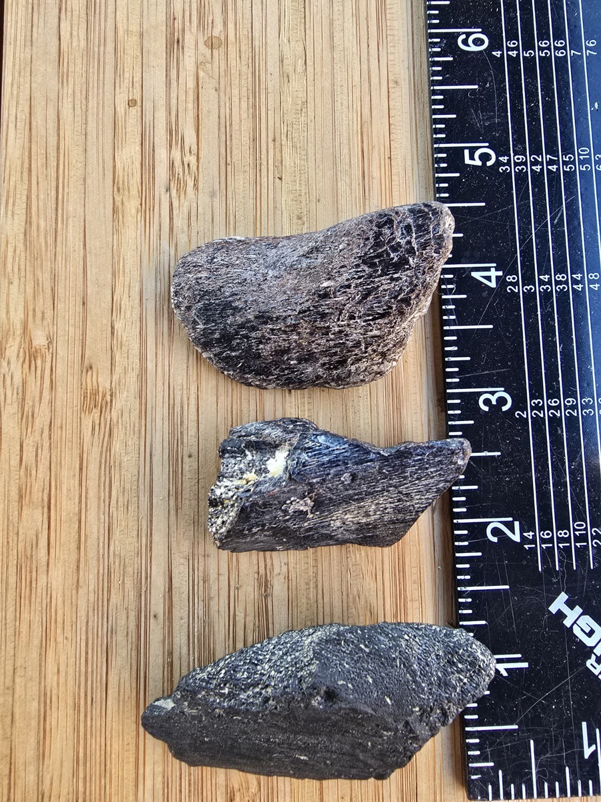 3 Chunks of Mosasaur Jaw Sections No Tooth  TX Jurassic Park Dinosaur Fossil 2