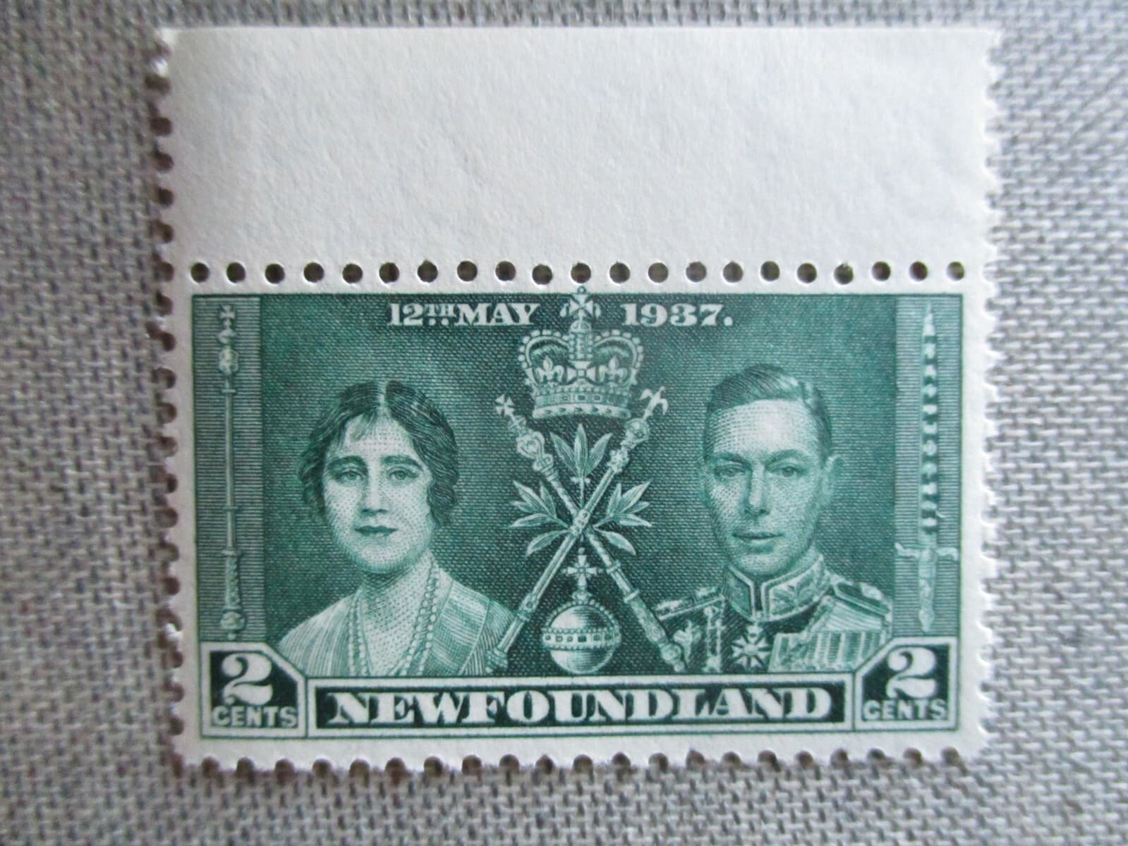 Newfoundland, Scott# 230, MNH 2