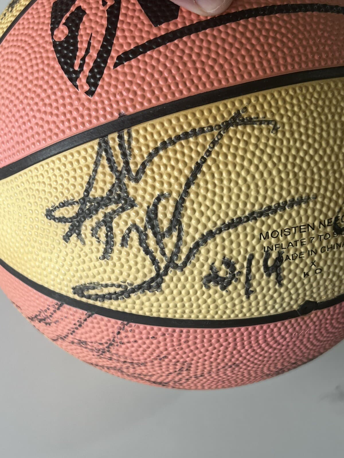 WNBA Basketball Signed Autographed Basketball - 15 Autographs - Sears Spalding 4