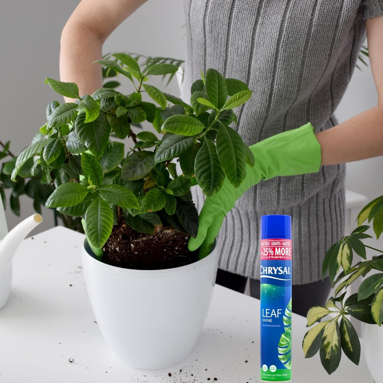 Leaf Shine Spray for Indoor Plants (25 Ounce 1 Pack) - FREE SHIPPING 3