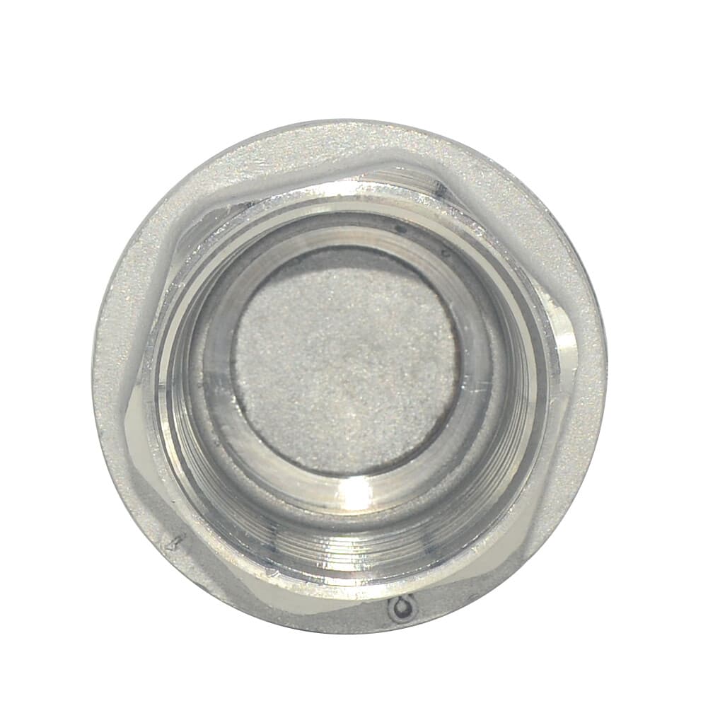 1 inch Vertical Check Valve NPT female Threaded Stainless Steel 1000psi 3