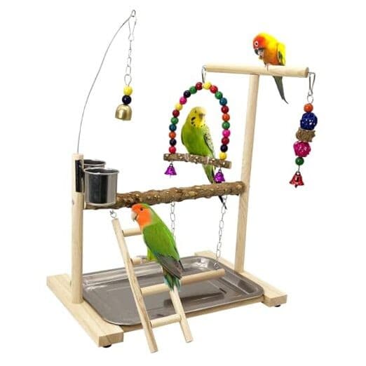  Bird Playground Parrots Play Stand Birdcage Play Stand Play Gym Parakeet 