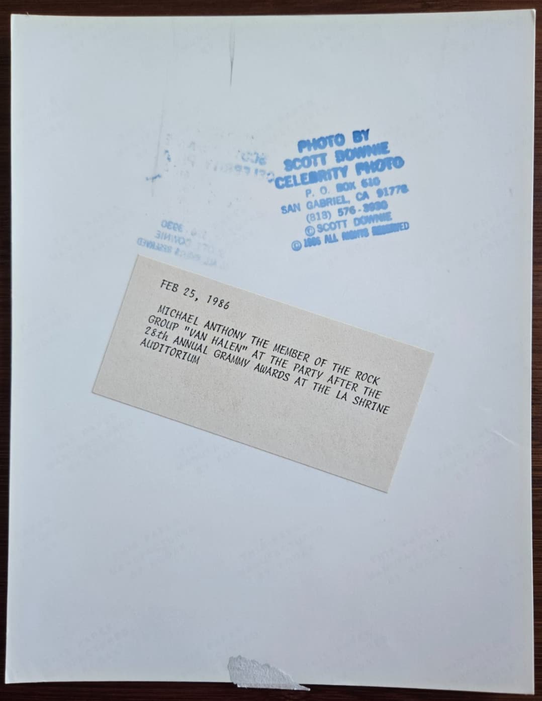 Michael Anthony of Van Halen 1986 7x9 Press Photo 3