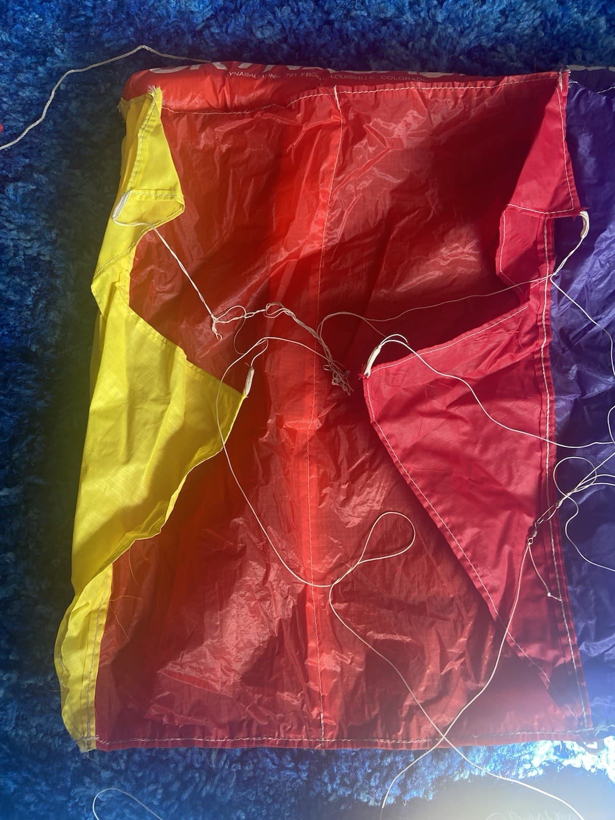 Vintage SKYNASAUR Kite - Bin Yak 2