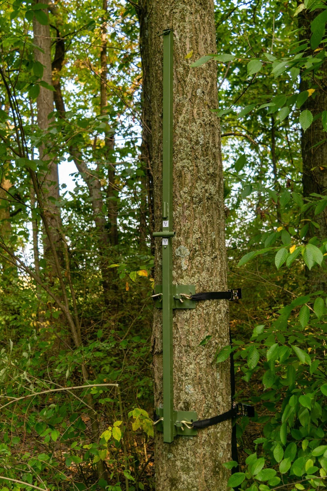 Bow Master Tree Stand Blind by Cooper Hunting Mossy Oak DNA 2