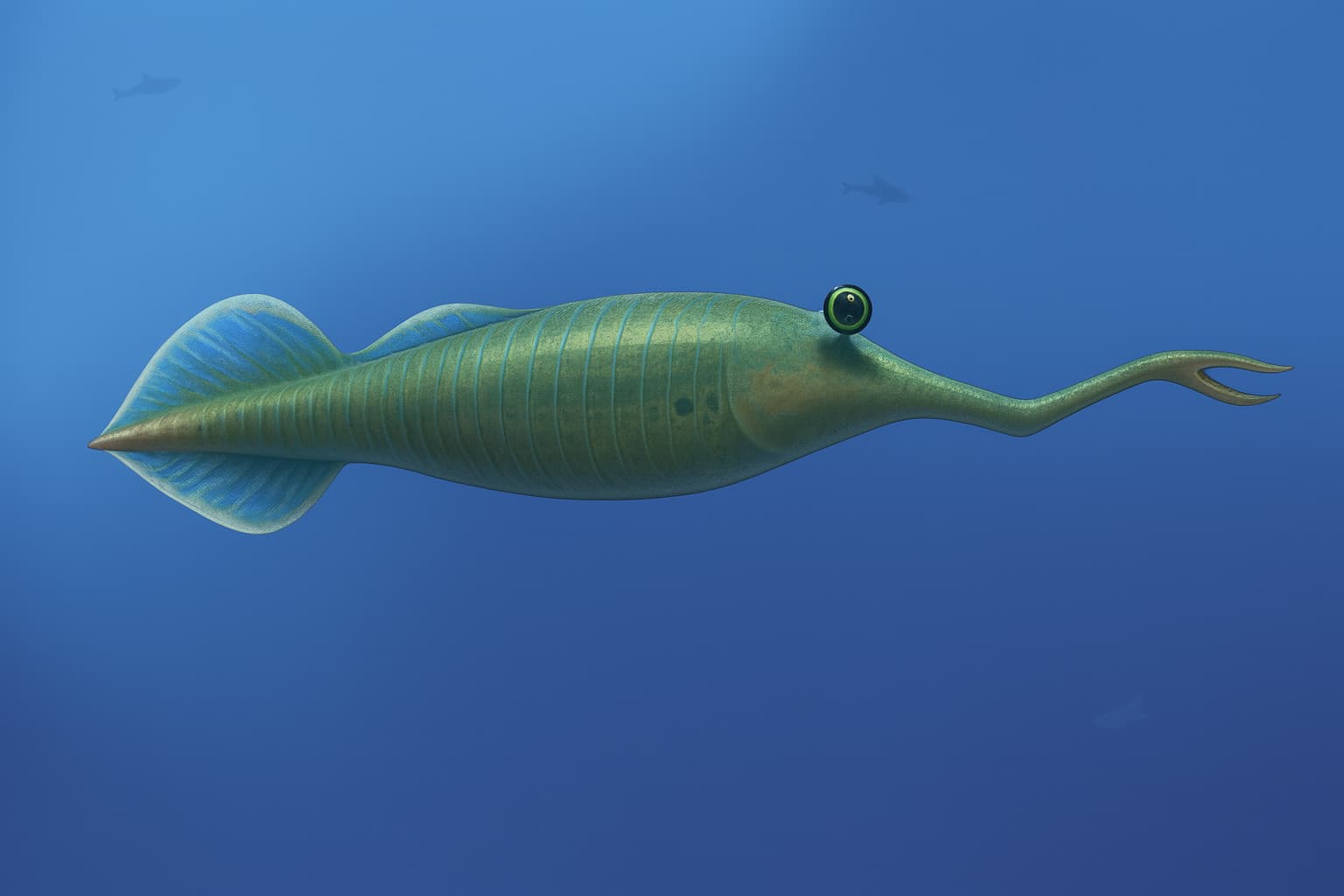 Tullimonstrum gregarium fossil - Carboniferous - Illinois - counter slab - rare 2