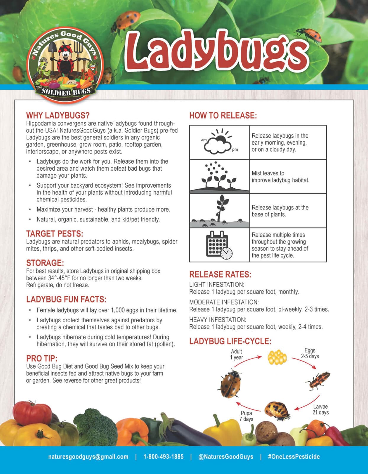 3,000 Live Ladybugs - Guaranteed Live Delivery! (2 x 1,500) 3