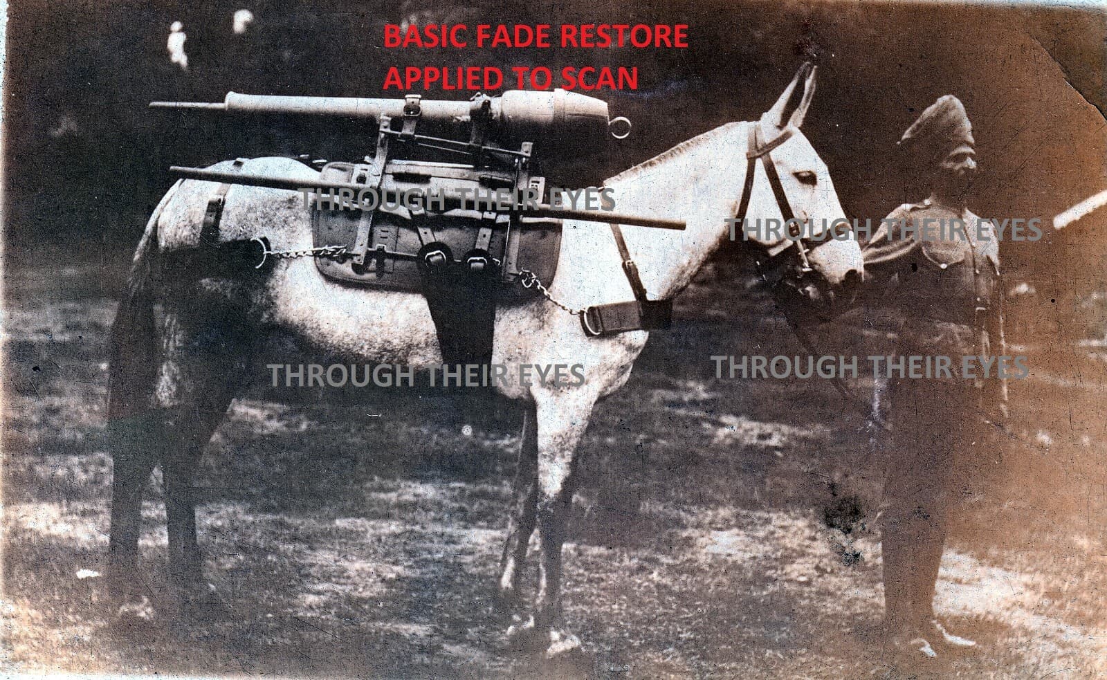 WW1 photo postcard Indian Soldier with Mule Donkey Horse with gun on back