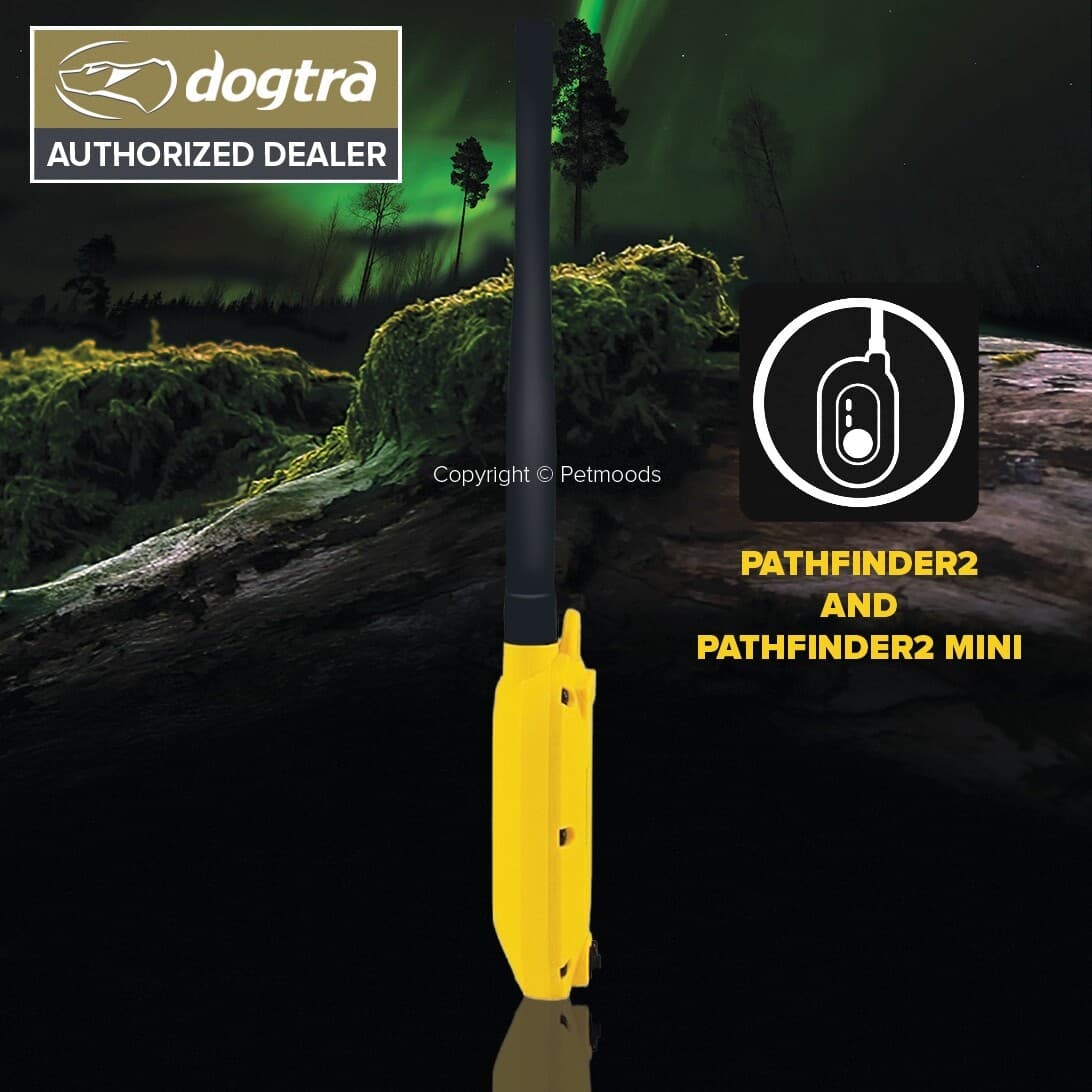 Dogtra Pathfinder2 GPS Connector Transmitter and Handheld Pathfinder2 Mini GPS 4