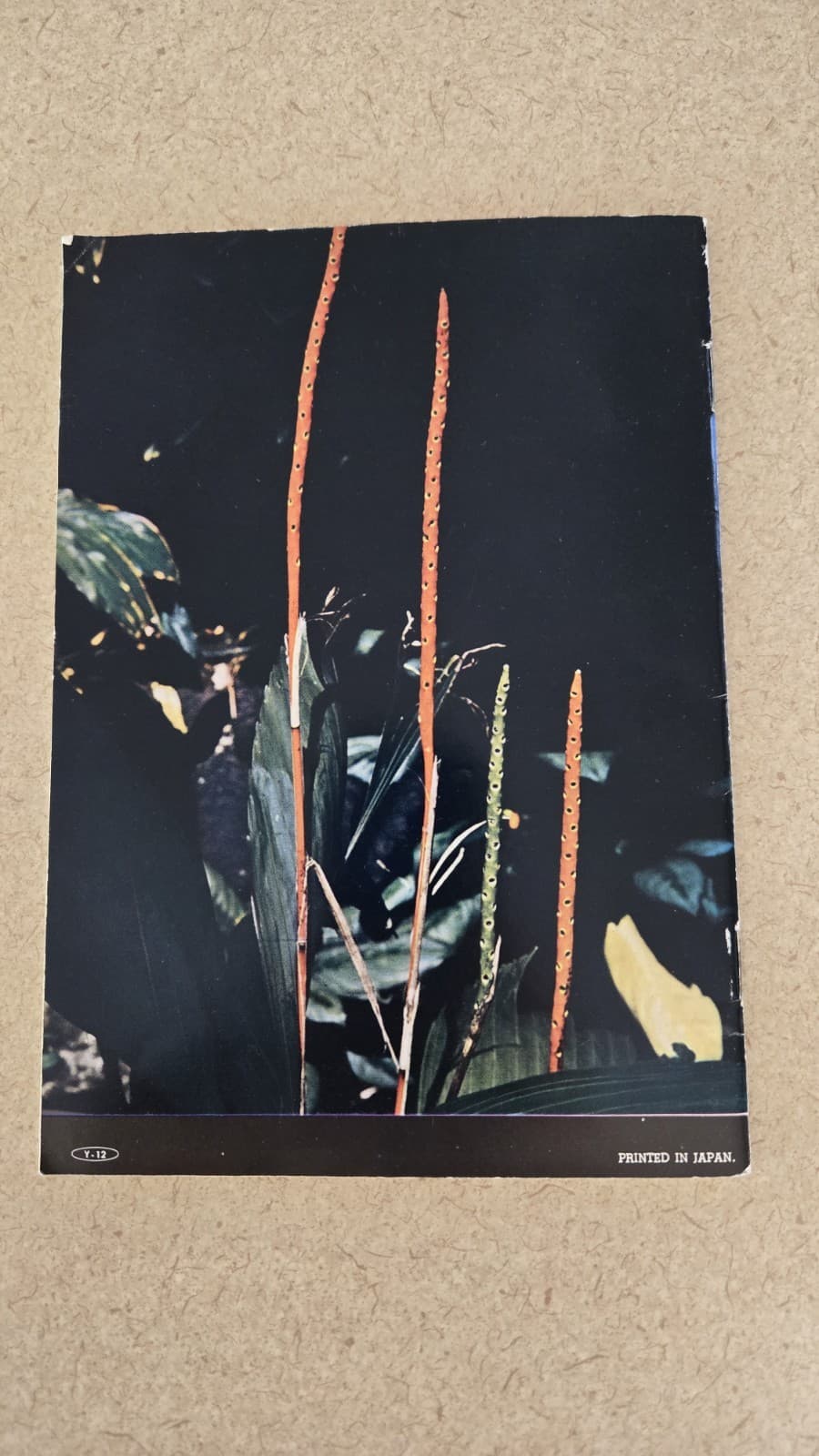 Vintage Asahi Pentax Operating Manual For Models SV & S1a  2