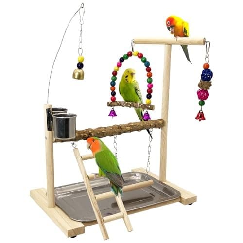  Bird Playground Parrots Play Stand Birdcage Play Stand Play Gym Parakeet  6