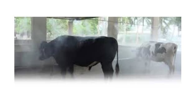 MR RAINBOW MISTER LIVESTOCK COOLER MISTING EVAPORATOR COOLING& FLY RELIEF SYSTEM 2