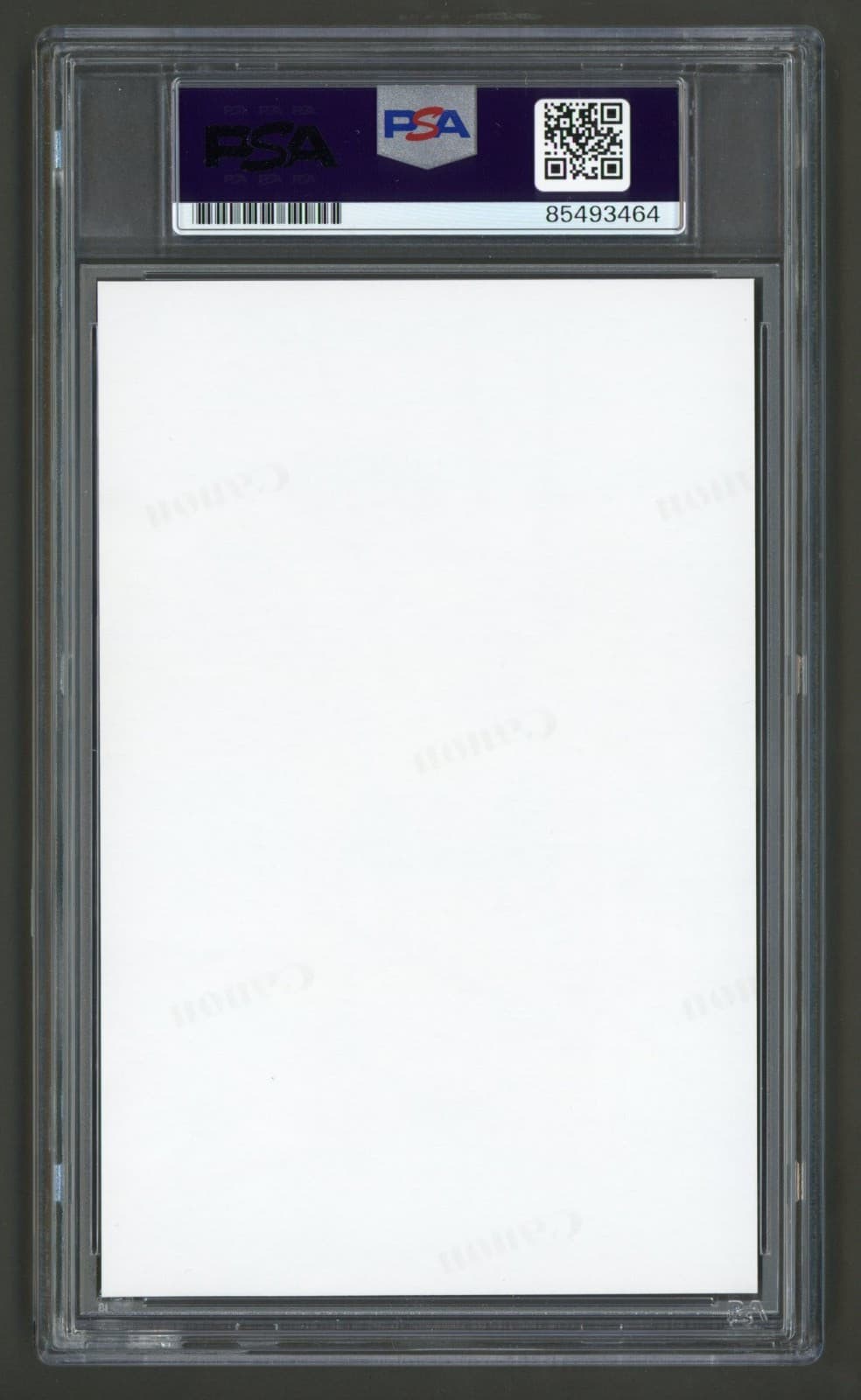 Lexi Thompson Signed Photo (PSA) Golf Punk Magazine Sexy Bikini LPGA Golfer Auto 2