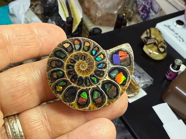 SPECTACULAR RARE,AMMOLITE(CANADA) INLAY IN FOSSIL AMMONITE(MADAGASCAR)SEE VIDEO! 3