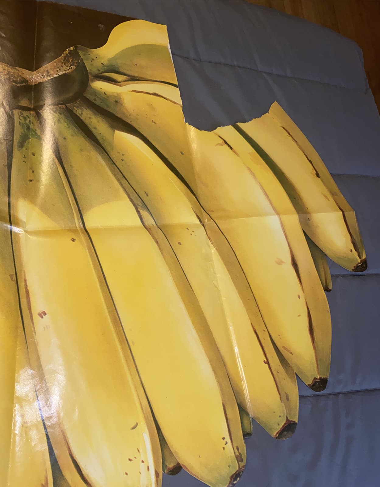 Auth VTG Bananas Poster Standard Fruit Steamship Co Grocery Display Ad Sign Prop 4