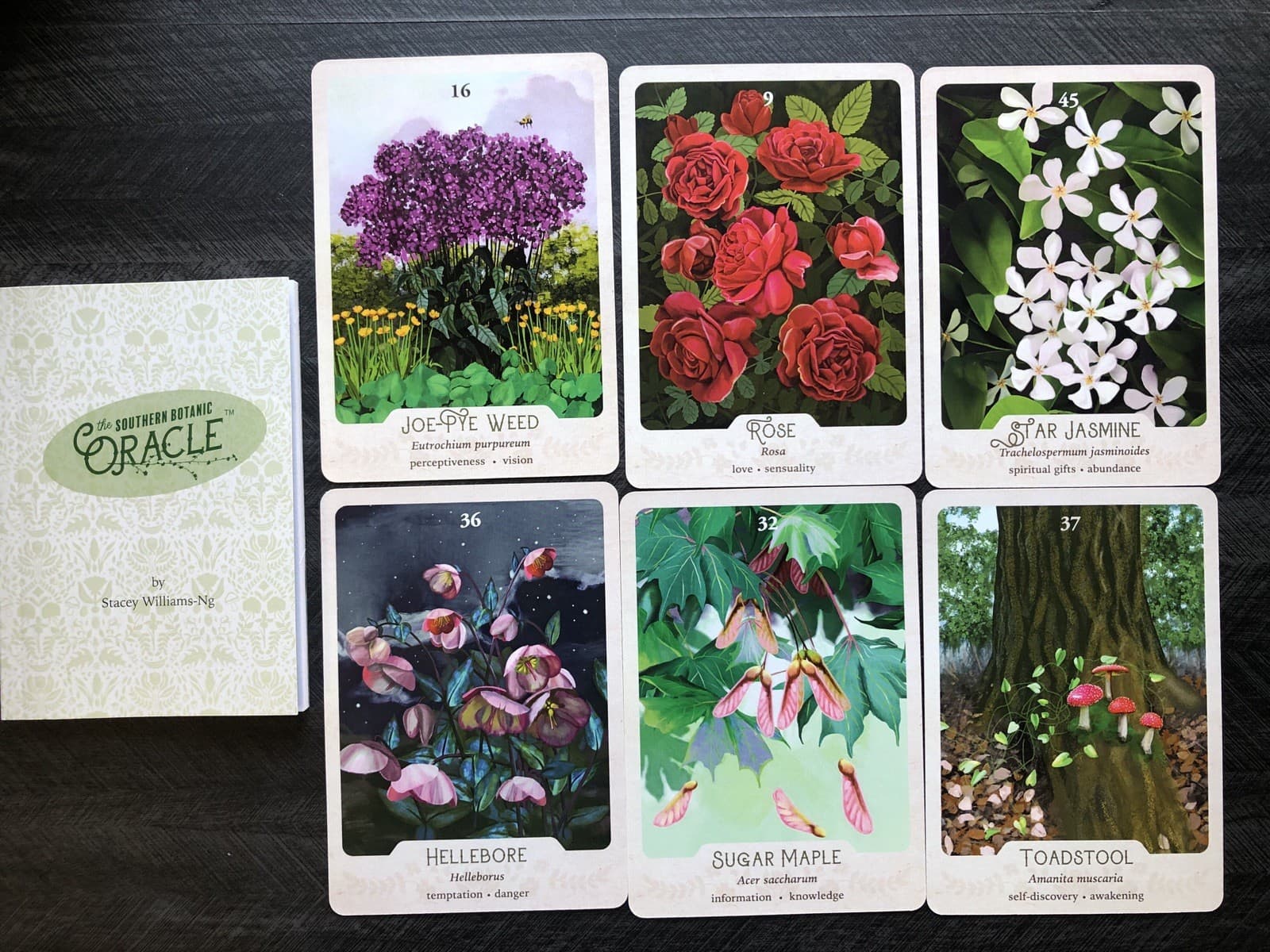 Southern Botanical 1st Edition &Southern Gothic Oracle Cornbread Special Edition 6