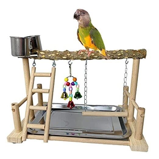  Parrots Playground Bird Perch Wood Playstand Stand with prickly ash wood