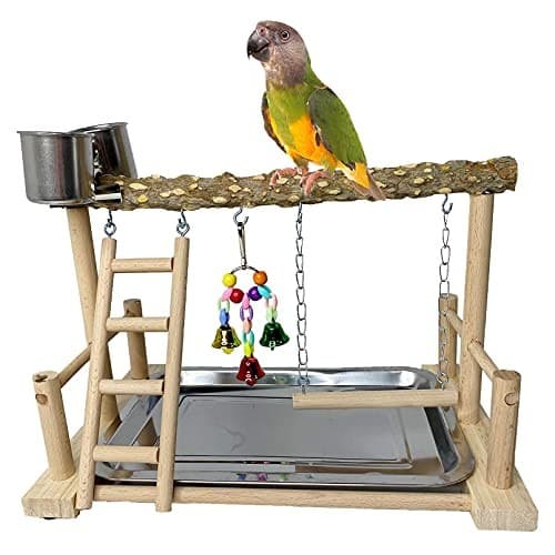  Parrots Playground Bird Perch Wood Playstand Stand with prickly ash wood 2