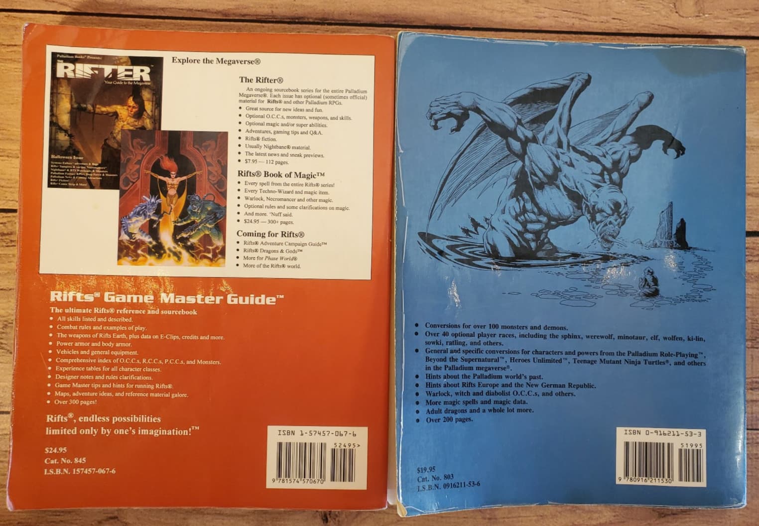 Rifts RPG Lot (2 Books) – Game Master Guide + Conversion Book – Palladium 2