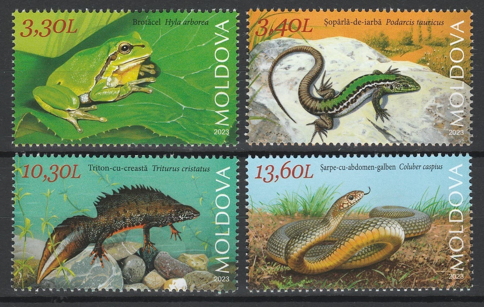 Moldova 2023 Reptiles, Snake, Frog, Triton 4 MNH stamps