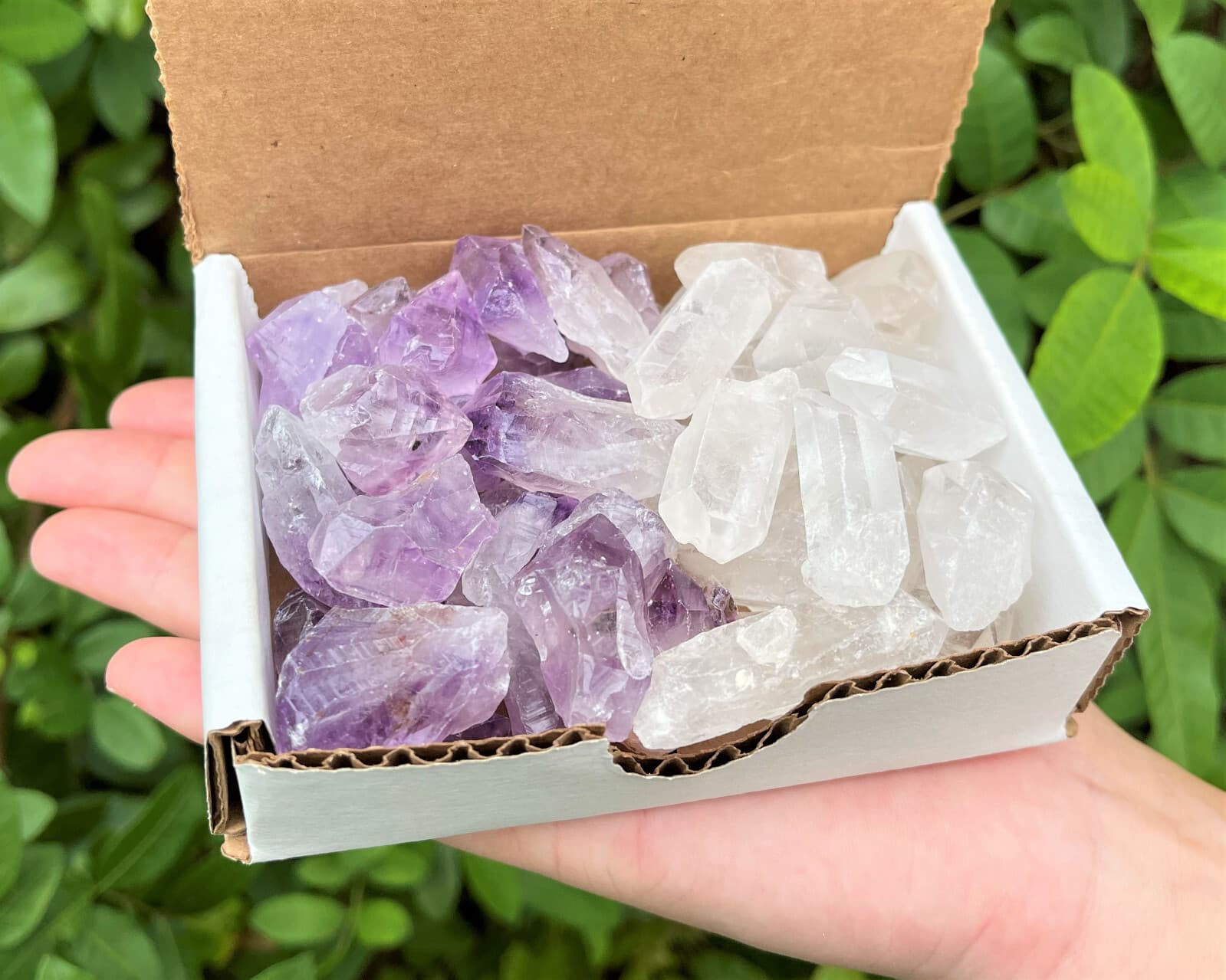 1/2 lb Bulk Amethyst & Quartz Crystal Collection in Box, Natural Clear Points 