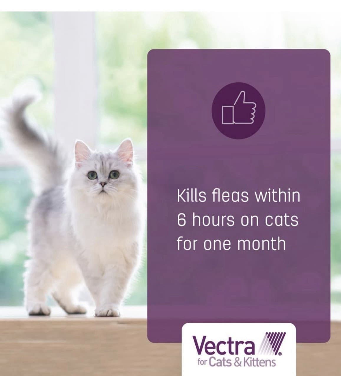 Vectra For Cats And Kittens Flea Treatment And Prevention For Small Cats 2-9 Lbs 4