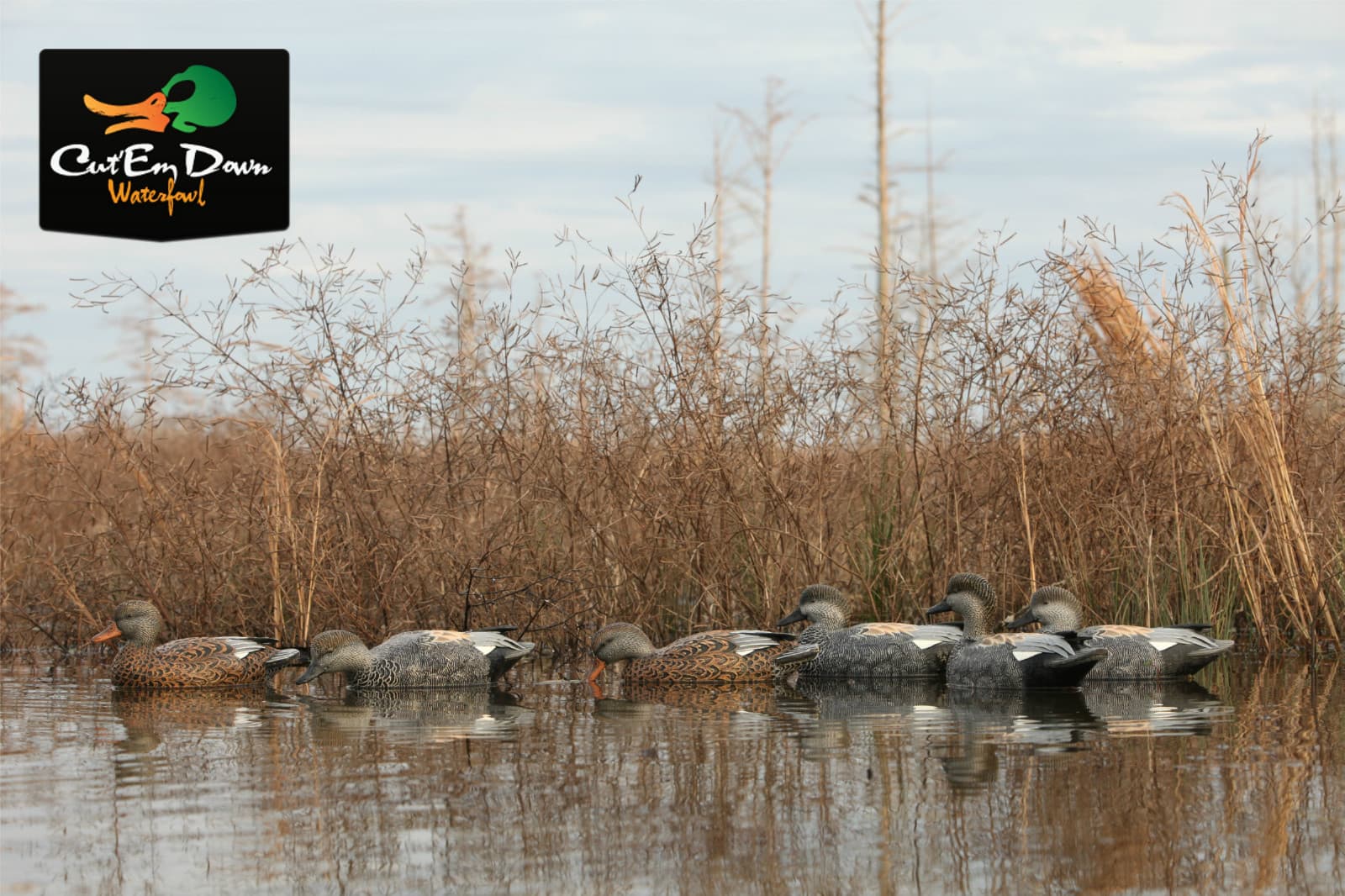 NEW AVERY GREENHEAD GEAR GHG PRO GRADE PG LS GADWALL FLOATER DUCK DECOYS 6 3