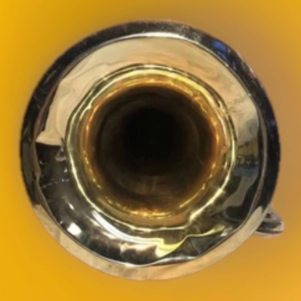 Benjamin 4 Valve Euphonium #BU400 2