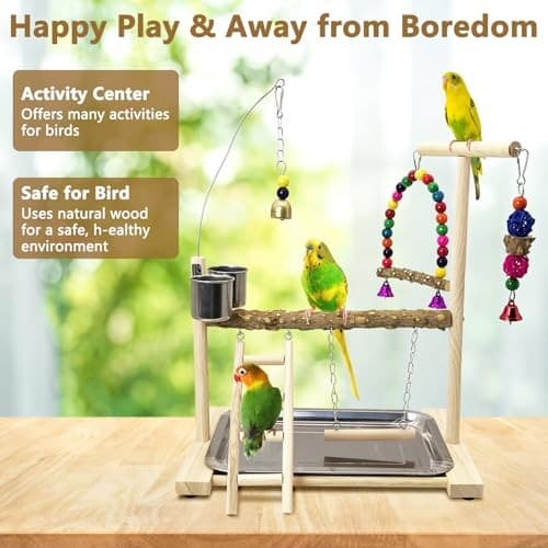  Bird Playground Parrots Play Stand Birdcage Play Stand Play Gym Parakeet  4