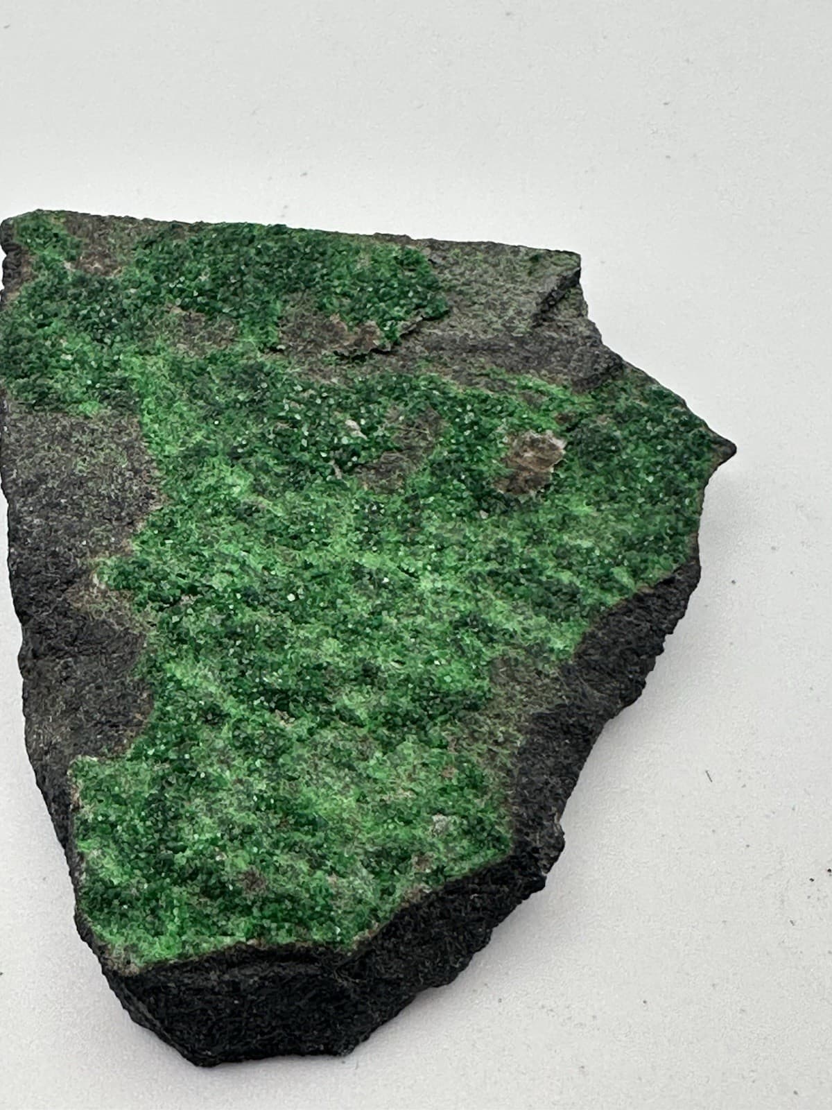 84g 2.5"x2" RARE Green Uvarovite Garnet Crystals on Matrix Mineral Specimen