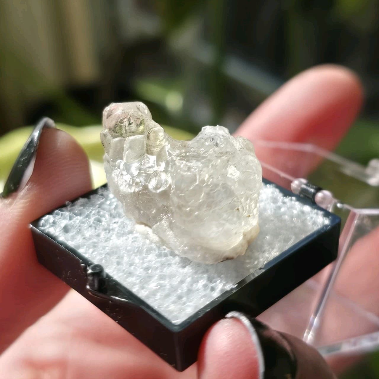 Fluorescent Hyalite Opal Specimen UV Reactive Glass Opal Specimen Perky Box 2