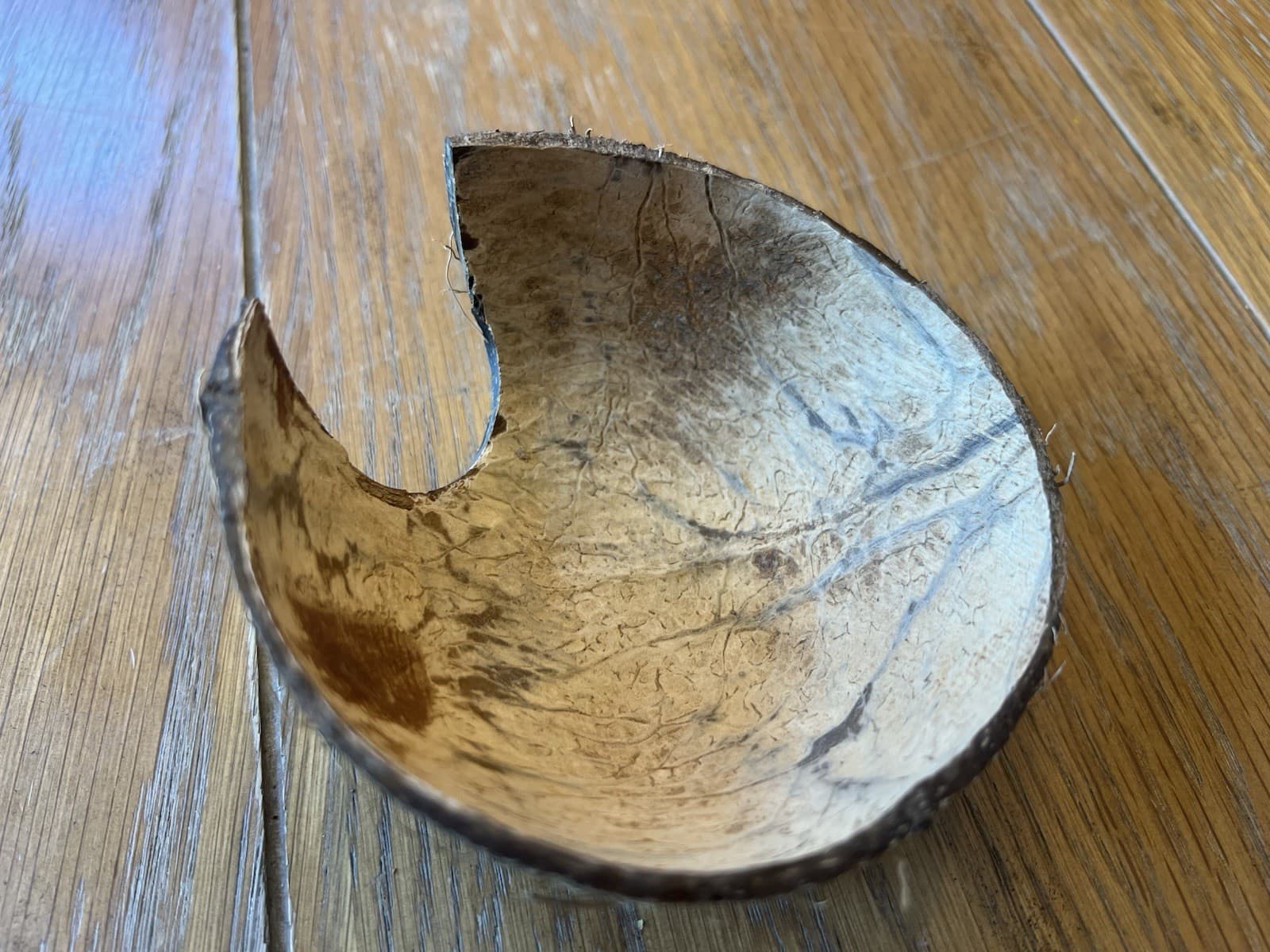 Aquarium Botanical Sampler Lot Indian Almond Leaves Cocoa Bael Lotus Pod Coconut 6