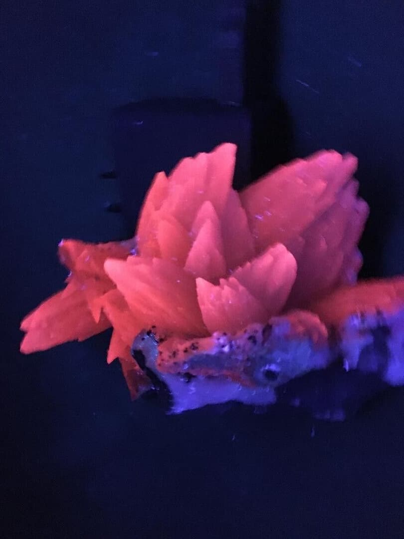 KB: GREAT!!!! SW FL. RED CALCITE XLS. ON MATRIX, IRAI, RIO GRANDE DO SUL, BRAZIL 5